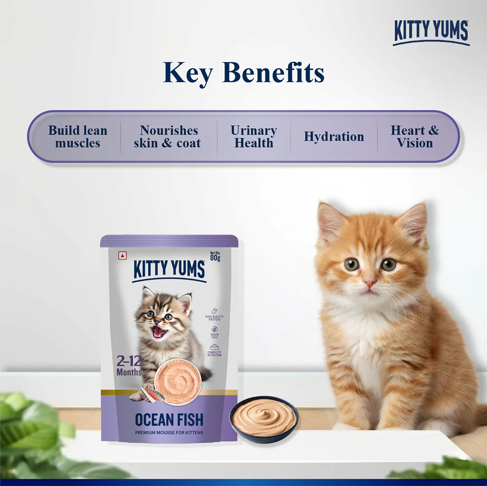 Kitty Yum Ocean Fish Mousse Kitten Cat Wet Food - Image 3