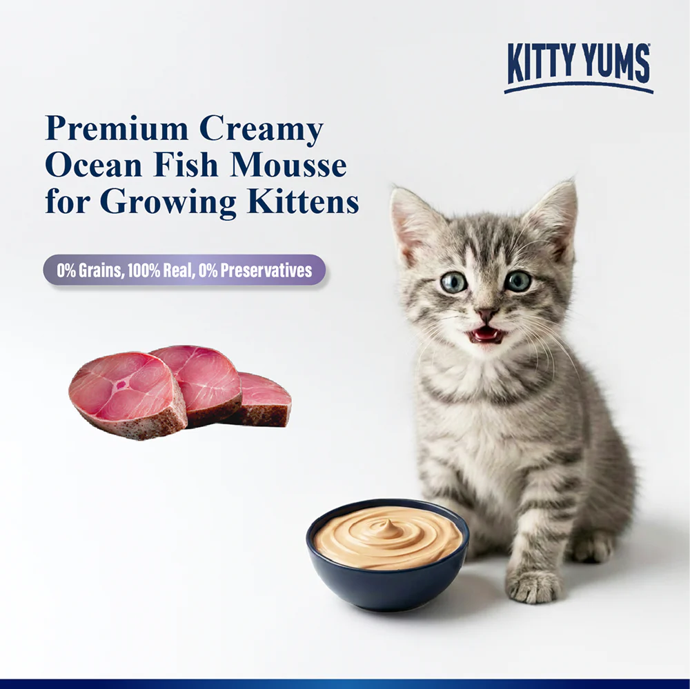 Kitty Yum Ocean Fish Mousse Kitten Cat Wet Food - Image 6