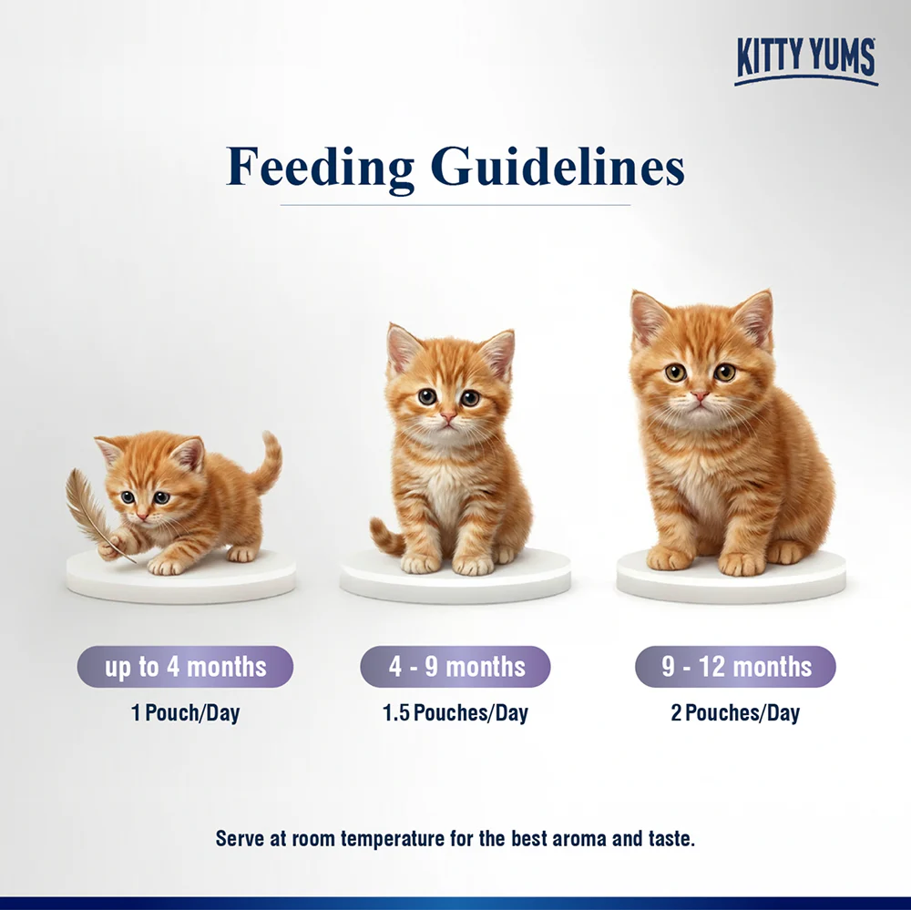 Kitty Yum Ocean Fish Mousse Kitten Cat Wet Food - Image 9