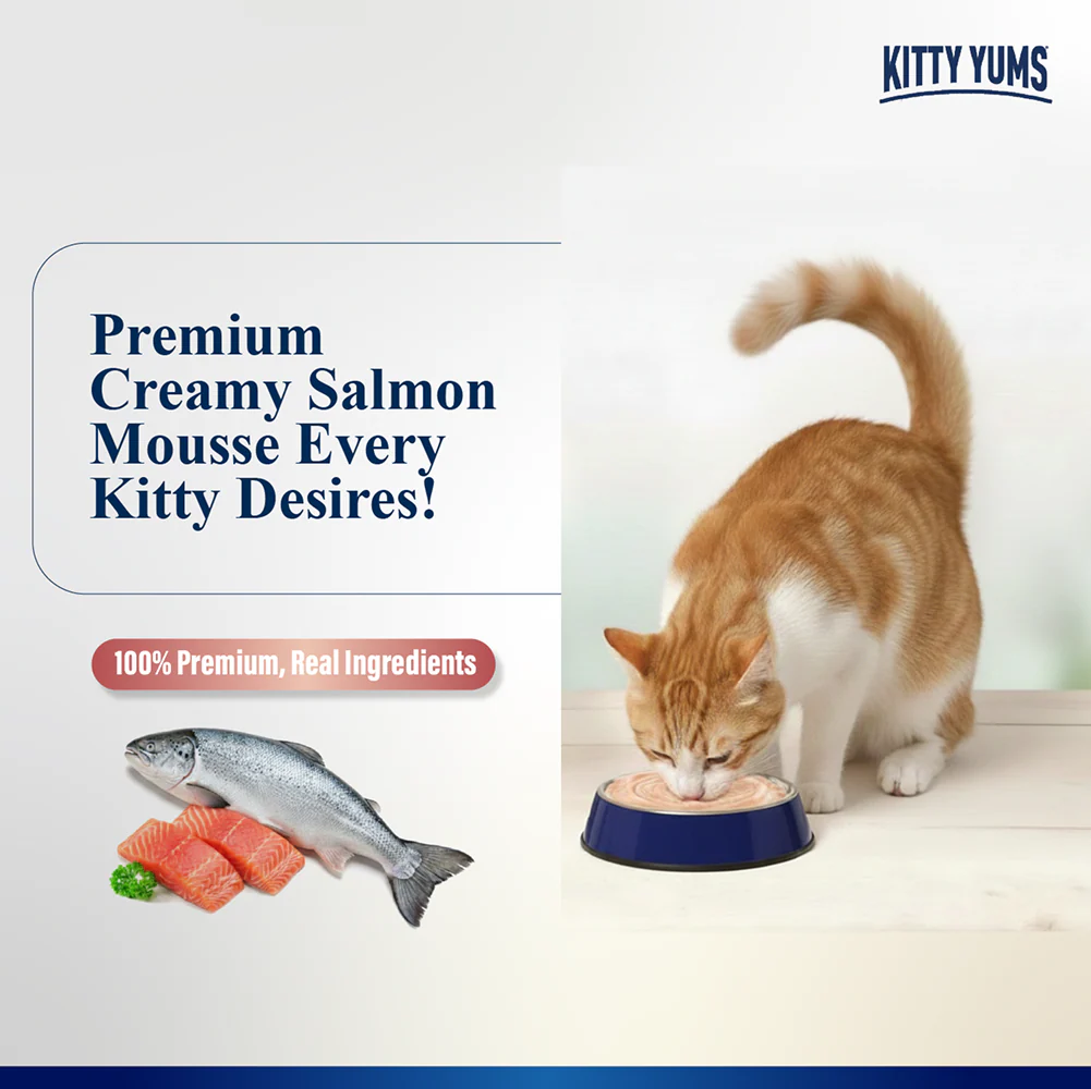 Kitty Yum Salmon Mousse Adult Cat Wet Food - Image 2