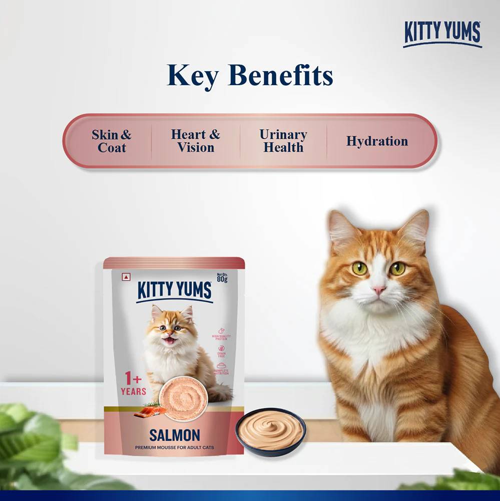 Kitty Yum Salmon Mousse Adult Cat Wet Food - Image 3