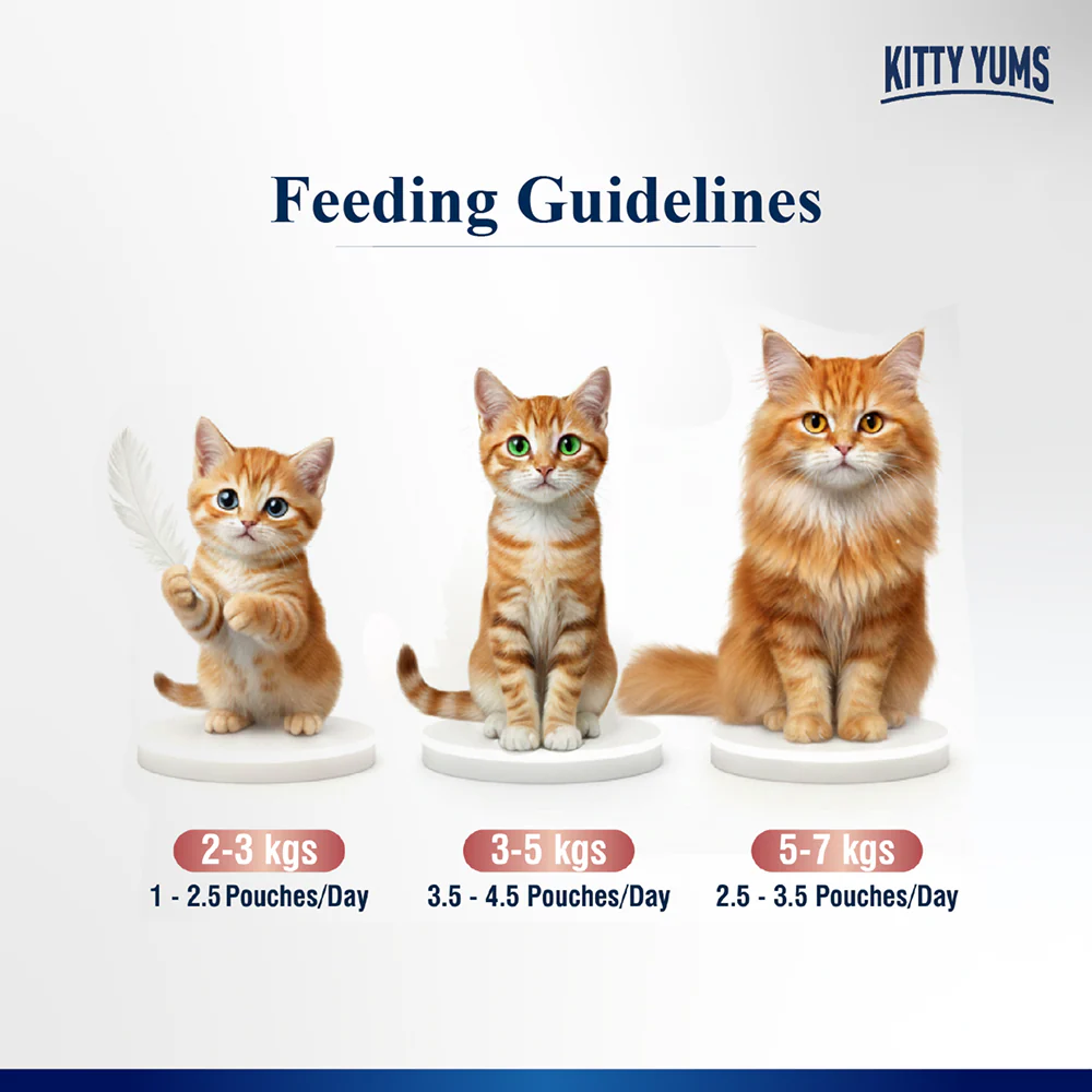 Kitty Yum Salmon Mousse Adult Cat Wet Food - Image 4