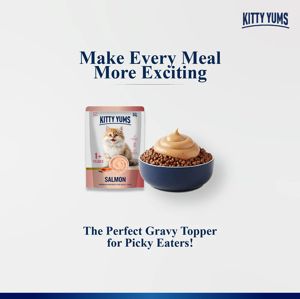 Kitty Yum Salmon Mousse Adult Cat Wet Food - Image 6