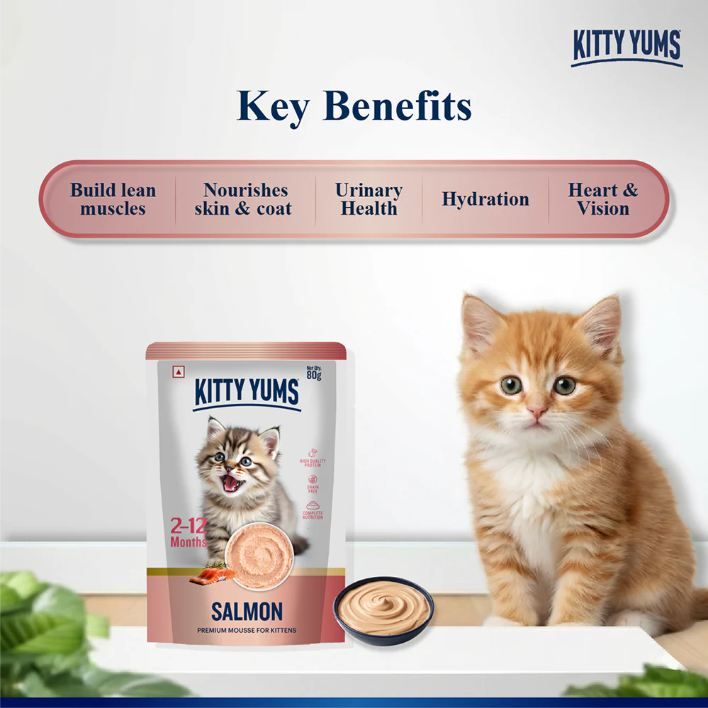 Kitty Yum Salmon Mousse Kitten Cat Wet Food - Image 2