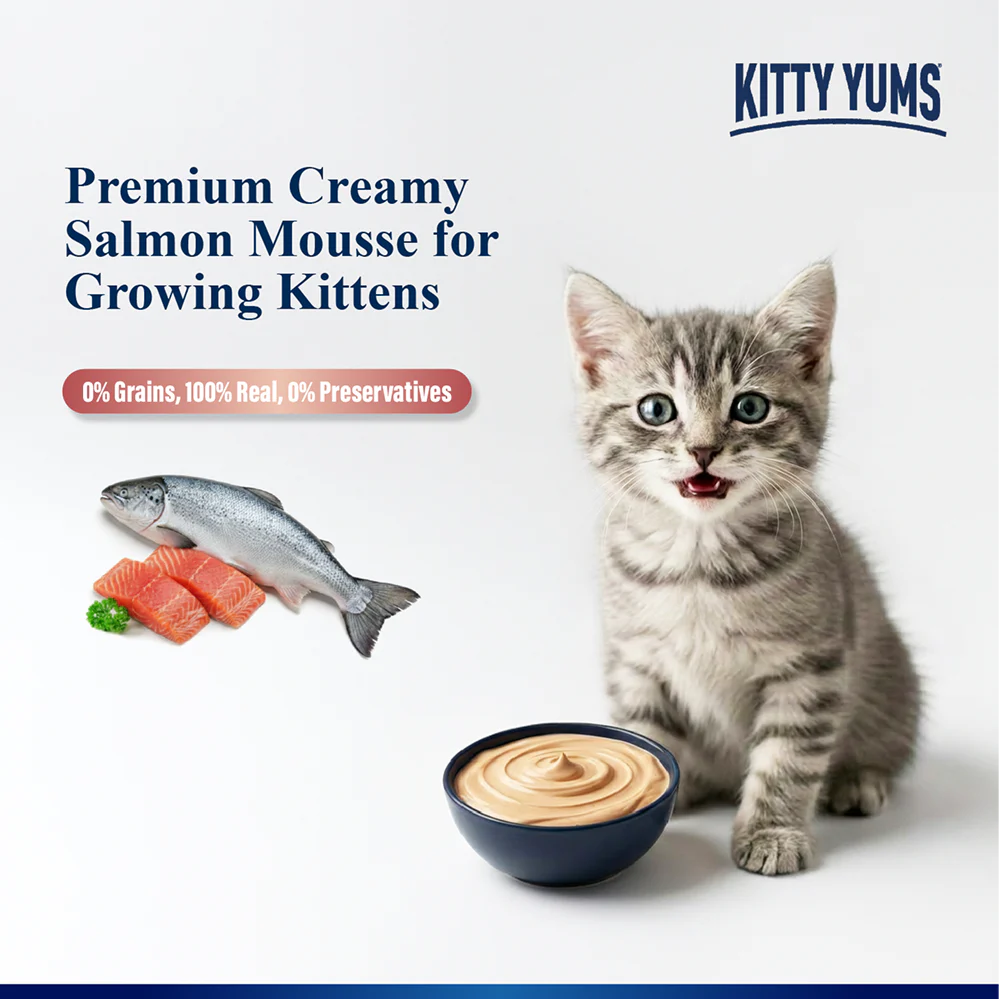 Kitty Yum Salmon Mousse Kitten Cat Wet Food - Image 4