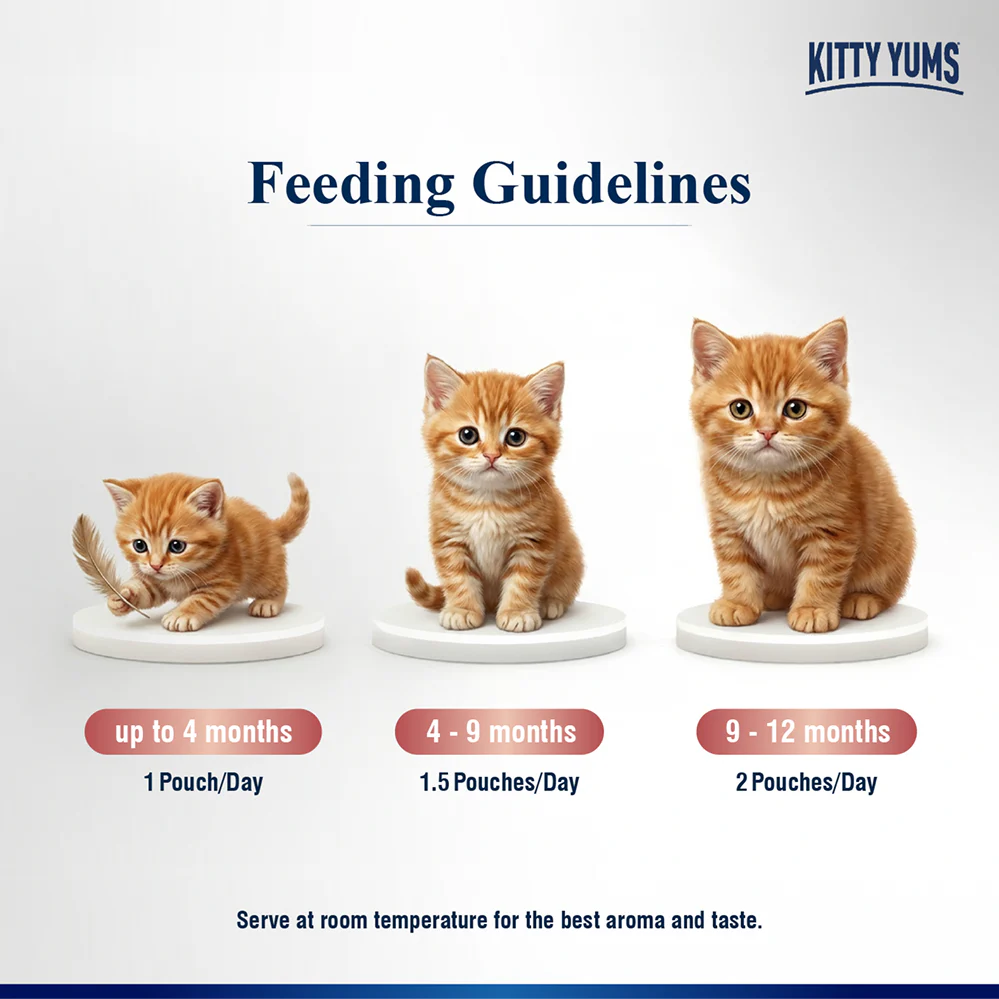 Kitty Yum Salmon Mousse Kitten Cat Wet Food - Image 5