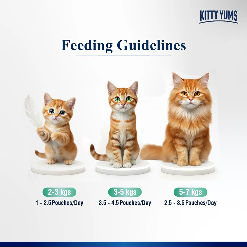 Kitty Yum Tuna Mousse Adult Cat Wet Food - Image 5