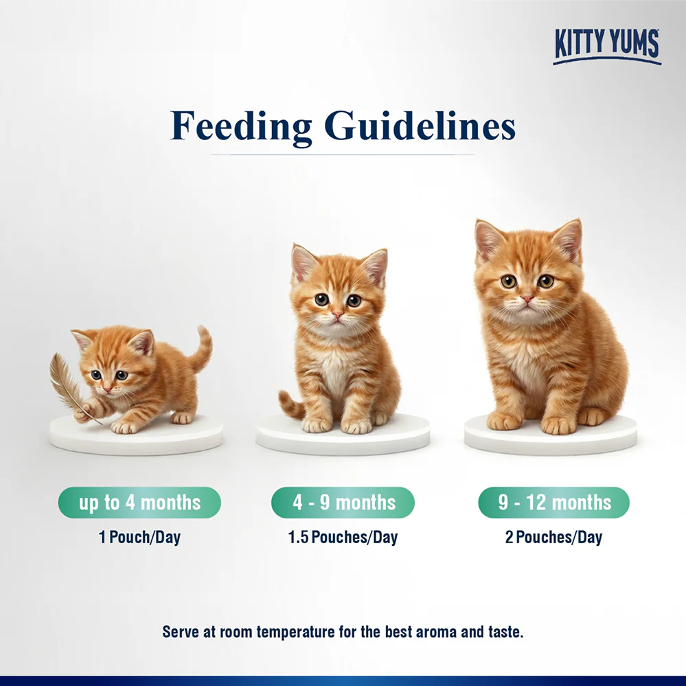 Kitty Yum Tuna Mousse Kitten Cat Wet Food - Image 3