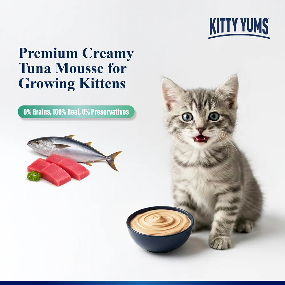 Kitty Yum Tuna Mousse Kitten Cat Wet Food - Image 4