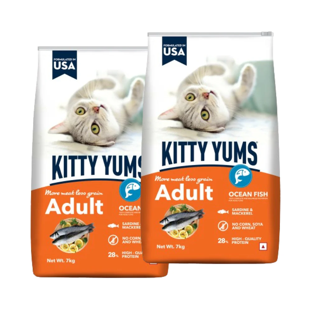 Kitty Yums Ocean Fish Adult (1+ years) Cat Dry Food - Image 10