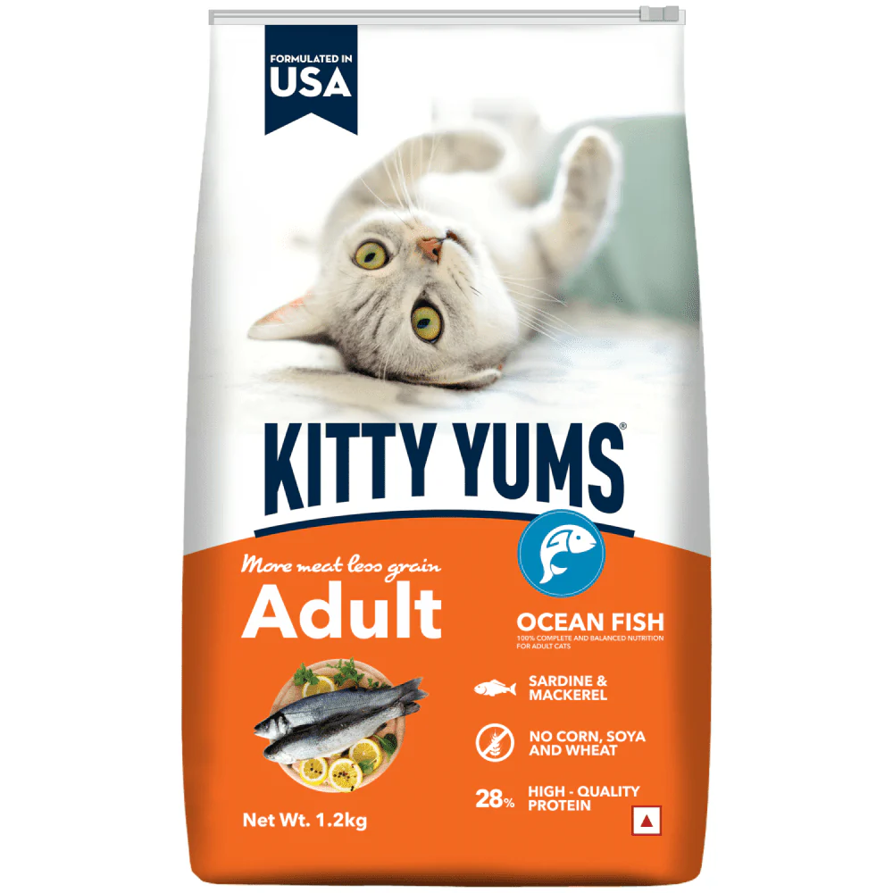 Kitty Yums Ocean Fish Adult (1+ years) Cat Dry Food - Image 14