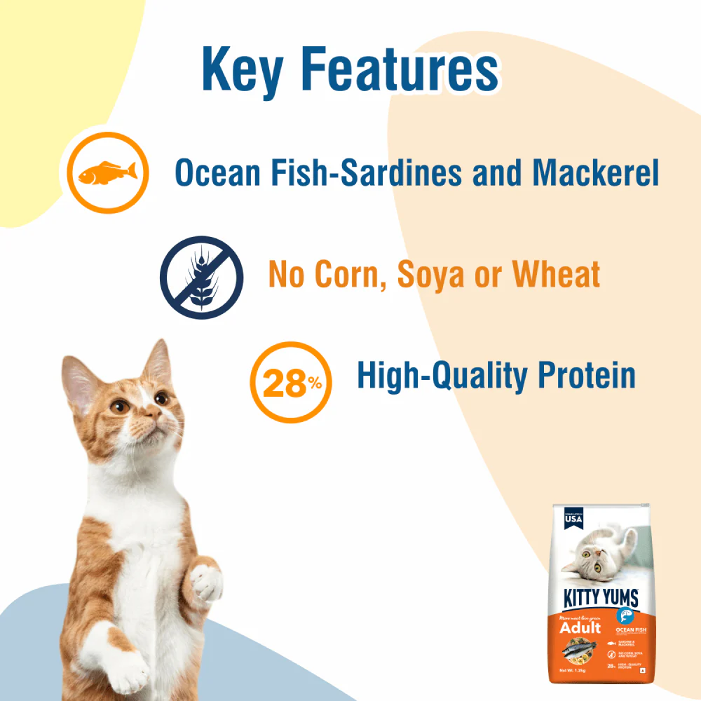 Kitty Yums Ocean Fish Adult (1+ years) Cat Dry Food - Image 2
