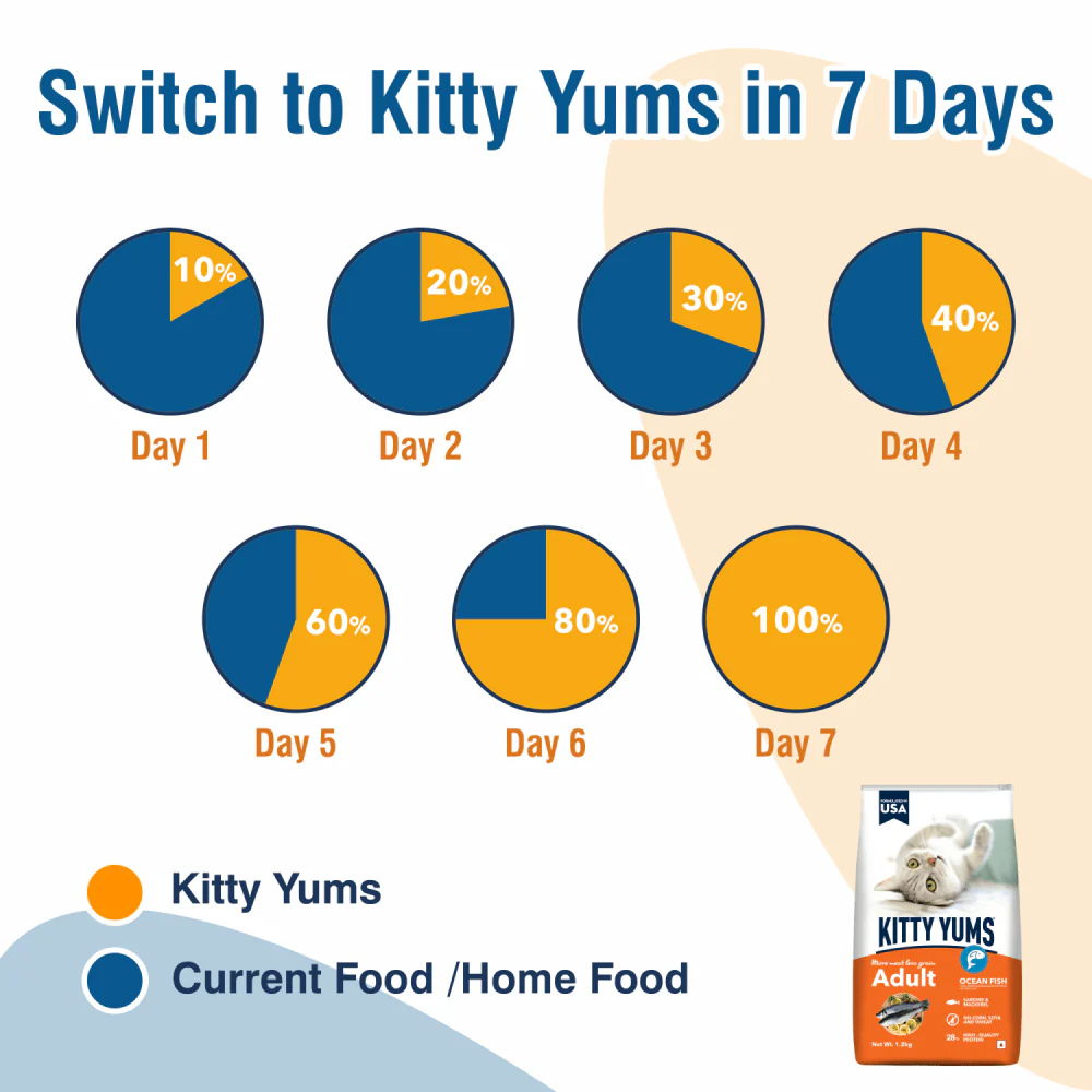 Kitty Yums Ocean Fish Adult (1+ years) Cat Dry Food - Image 3