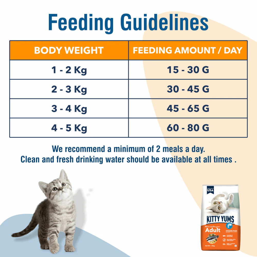Kitty Yums Ocean Fish Adult (1+ years) Cat Dry Food - Image 4