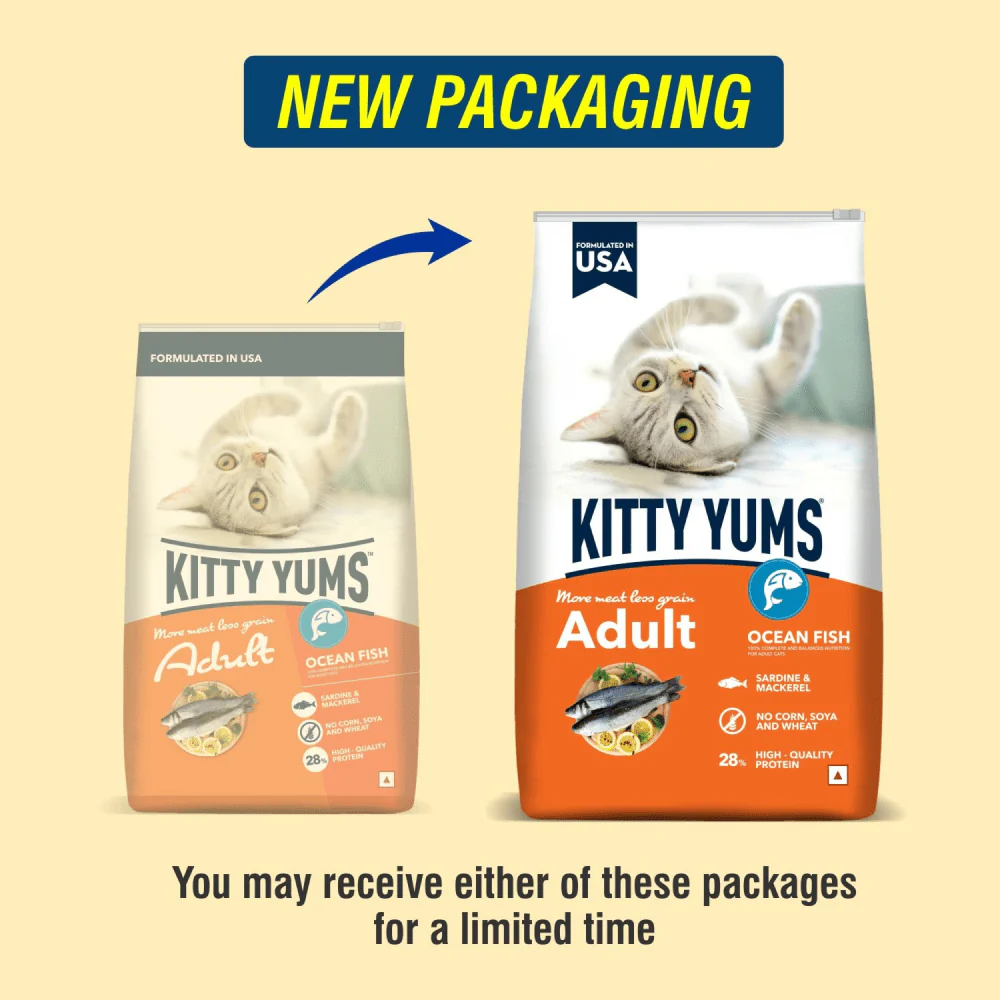 Kitty Yums Ocean Fish Adult (1+ years) Cat Dry Food - Image 5