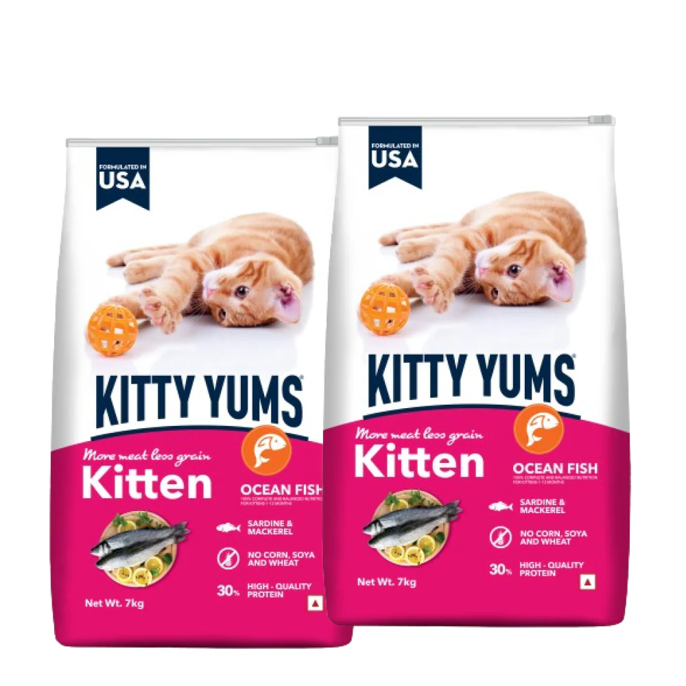 Kitty Yums Ocean Fish Kitten (1 to 12 Months) Cat Dry Food - Image 12