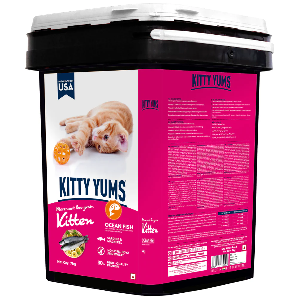Kitty Yums Ocean Fish Kitten (1 to 12 Months) Cat Dry Food - Image 16