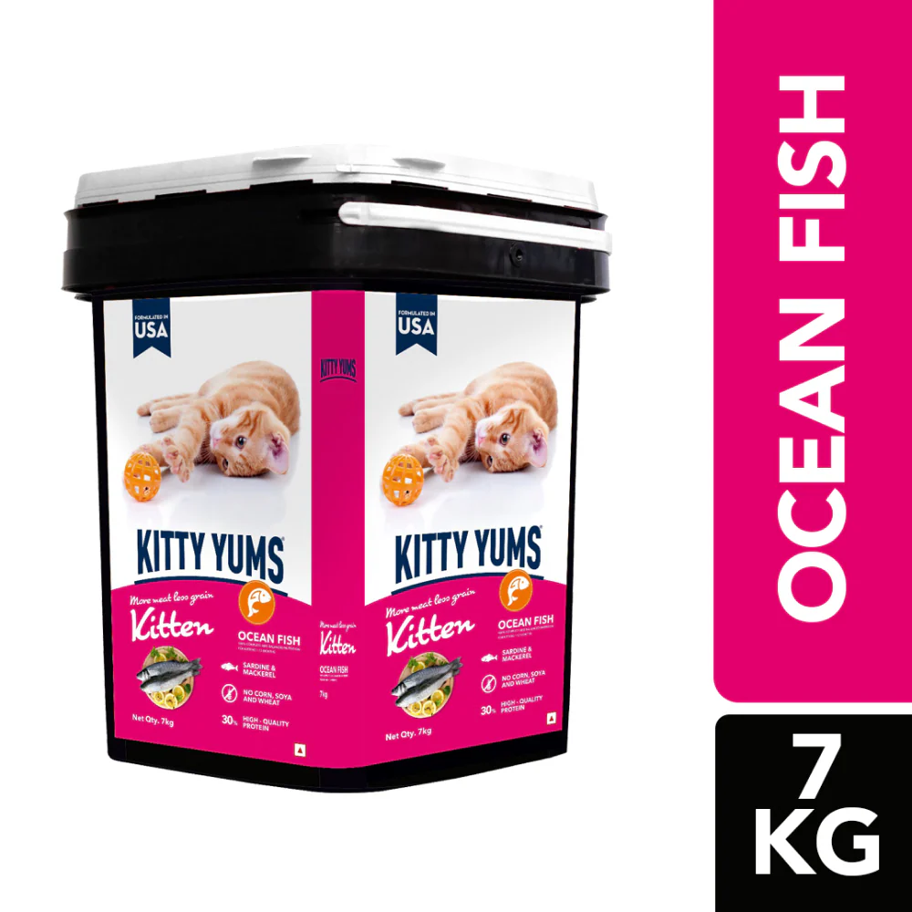 Kitty Yums Ocean Fish Kitten (1 to 12 Months) Cat Dry Food - Image 17