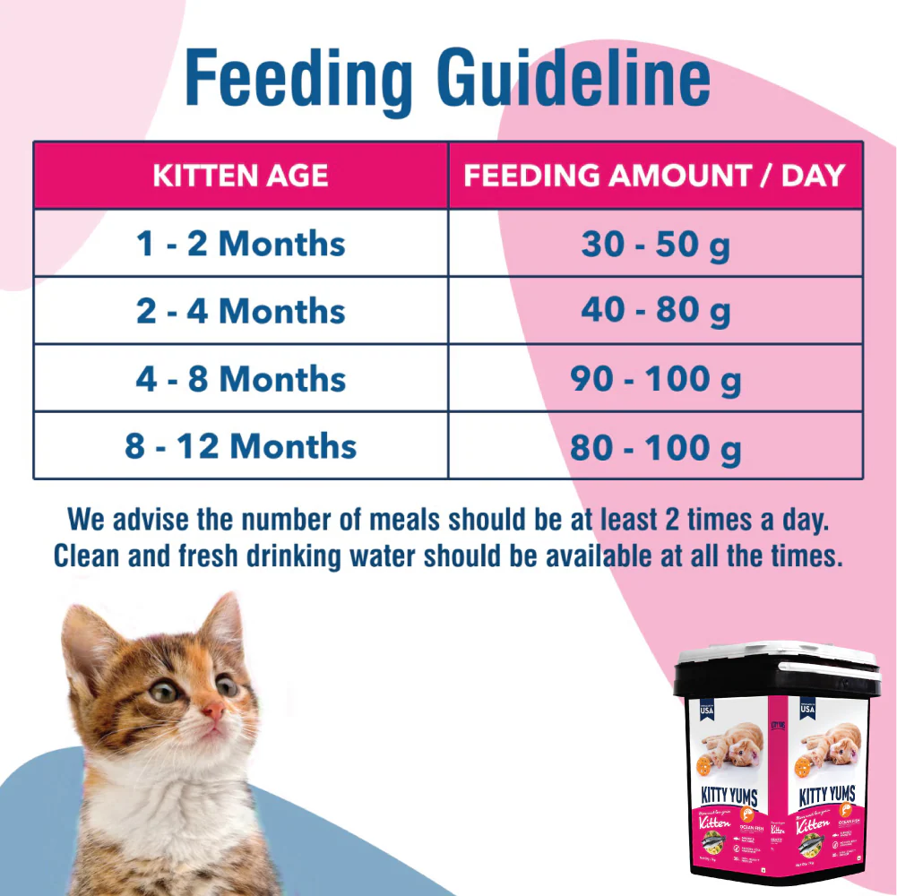 Kitty Yums Ocean Fish Kitten (1 to 12 Months) Cat Dry Food - Image 14