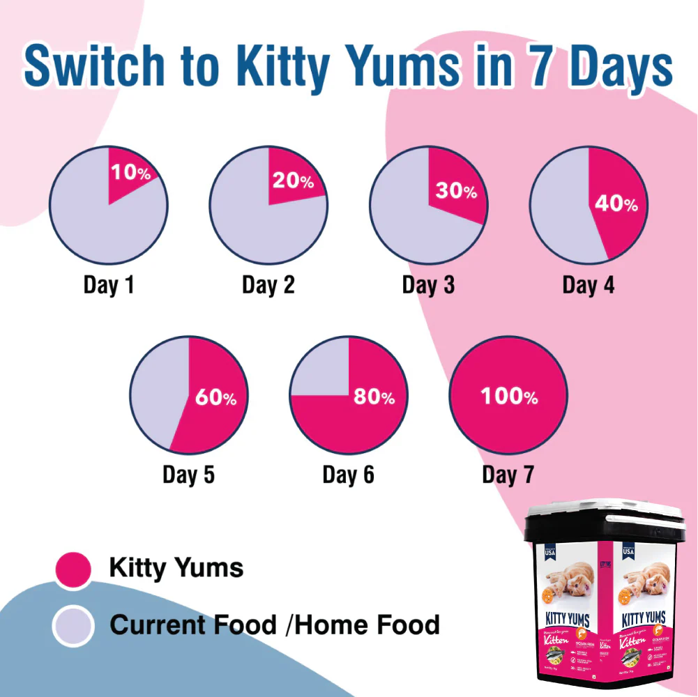 Kitty Yums Ocean Fish Kitten (1 to 12 Months) Cat Dry Food - Image 15