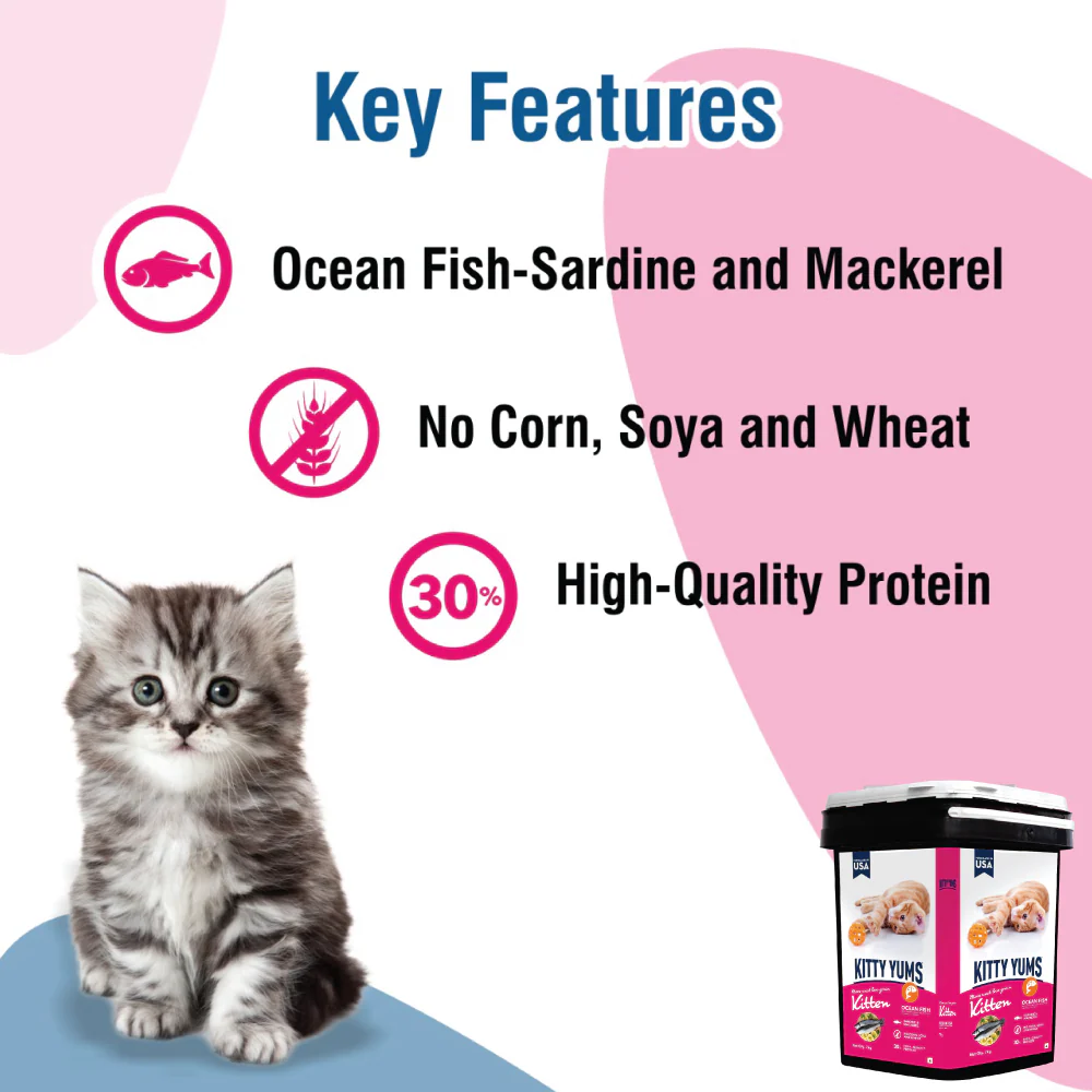 Kitty Yums Ocean Fish Kitten (1 to 12 Months) Cat Dry Food - Image 19