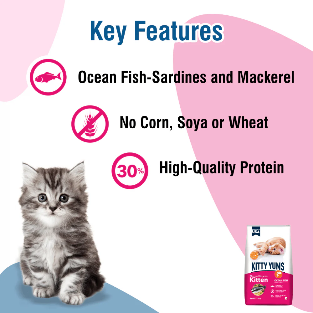 Kitty Yums Ocean Fish Kitten (1 to 12 Months) Cat Dry Food - Image 3