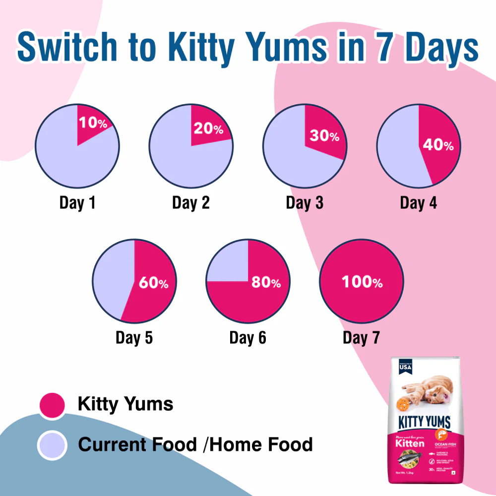 Kitty Yums Ocean Fish Kitten (1 to 12 Months) Cat Dry Food - Image 4