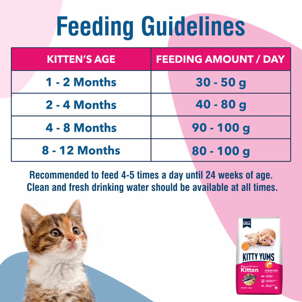 Kitty Yums Ocean Fish Kitten (1 to 12 Months) Cat Dry Food - Image 5
