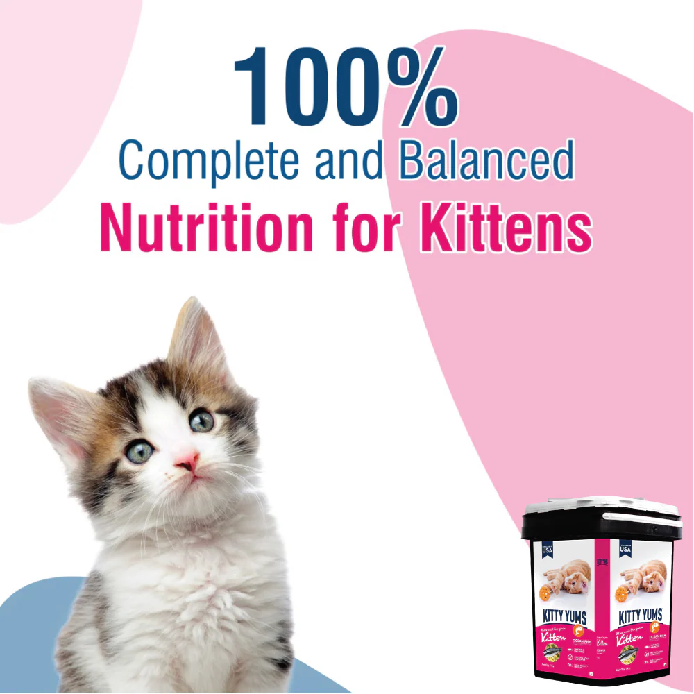 Kitty Yums Ocean Fish Kitten (1 to 12 Months) Cat Dry Food - Image 13