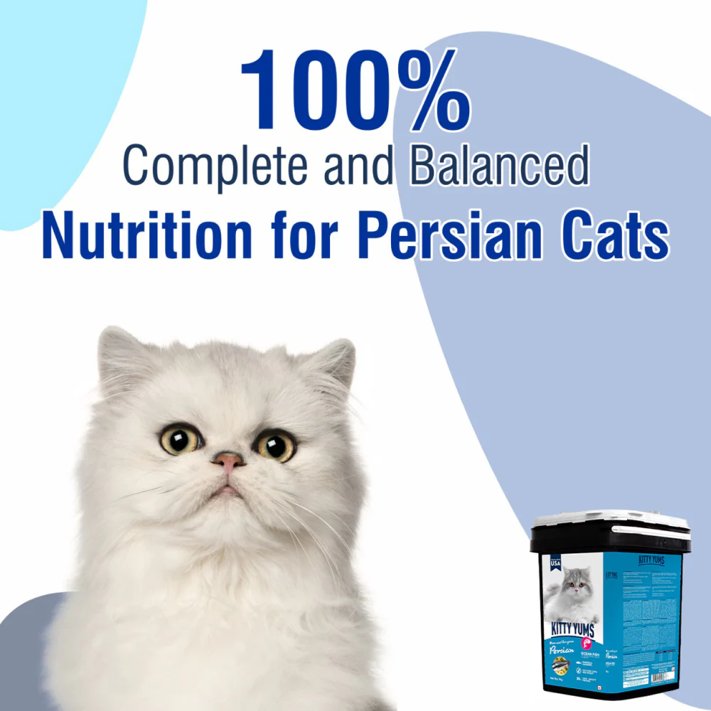 Kitty Yums Ocean Fish Persian Cat Dry Food - Image 13