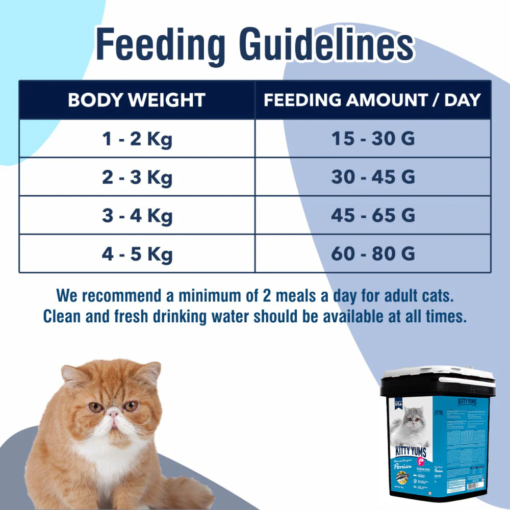 Kitty Yums Ocean Fish Persian Cat Dry Food - Image 14