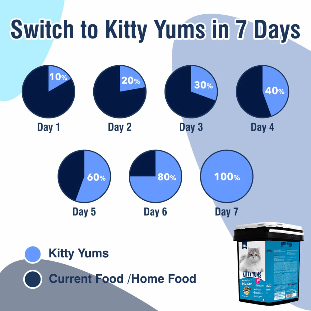 Kitty Yums Ocean Fish Persian Cat Dry Food - Image 15