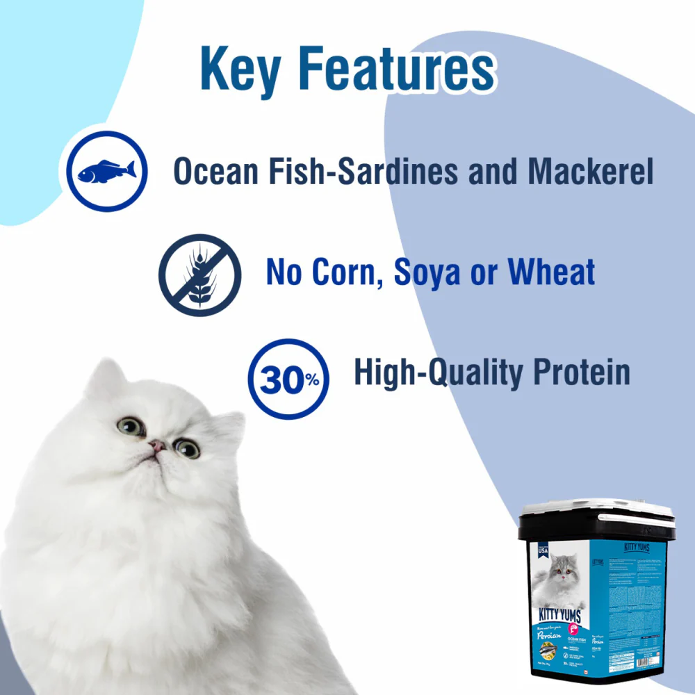 Kitty Yums Ocean Fish Persian Cat Dry Food - Image 19