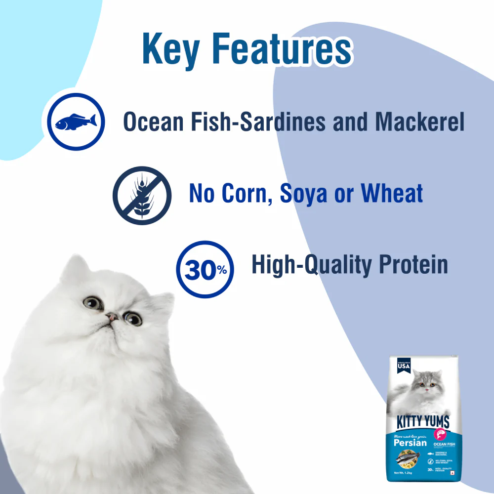 Kitty Yums Ocean Fish Persian Cat Dry Food - Image 5