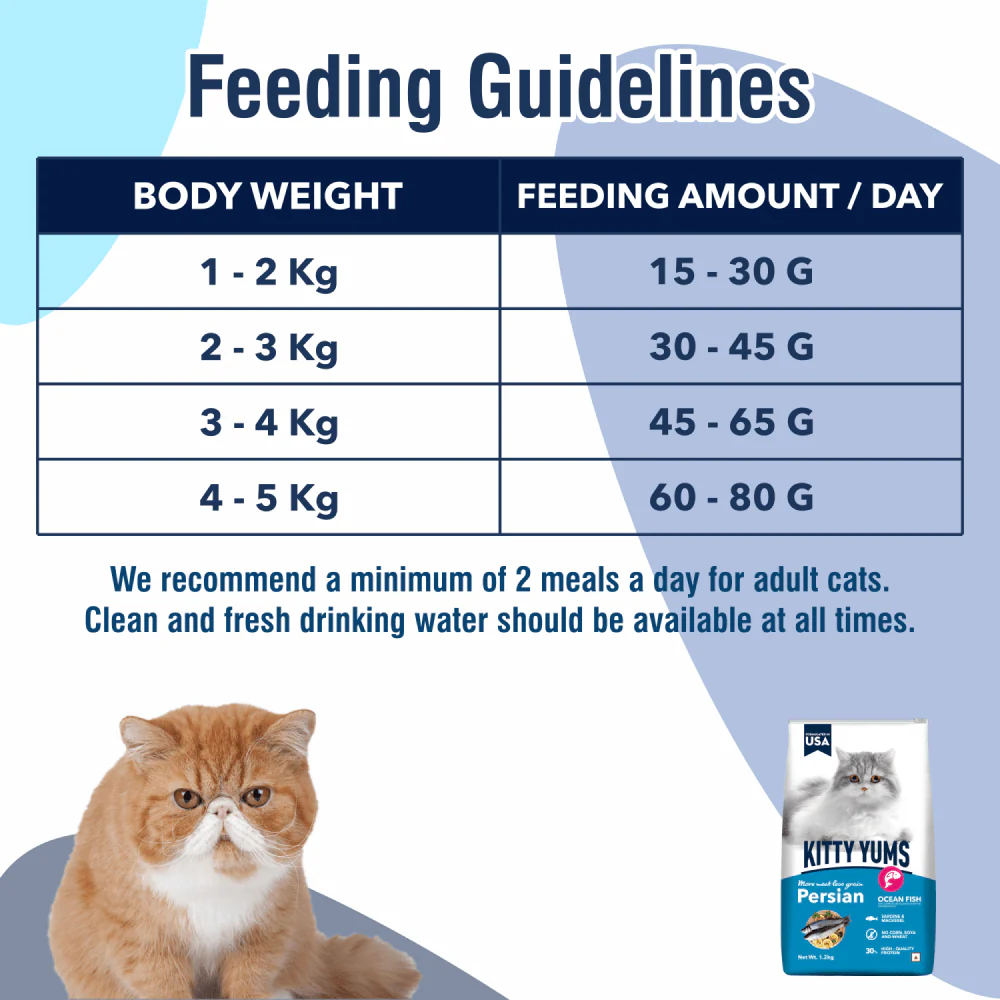 Kitty Yums Ocean Fish Persian Cat Dry Food - Image 7