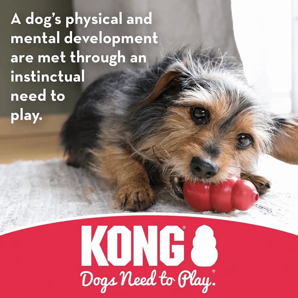 Kong Binkie Puppy Chew Toy for Dogs (Pink) - Image 6