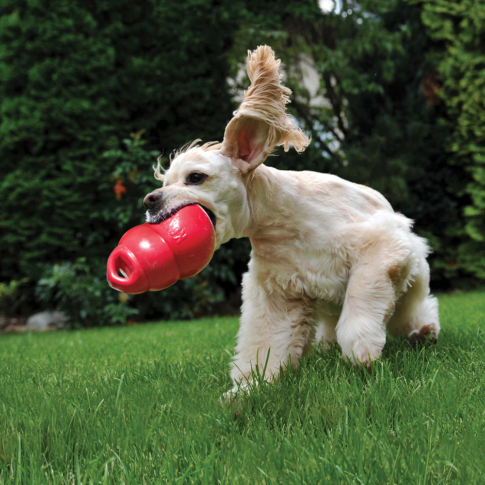 Kong Bounzer Toy for Dogs (Red) - Image 3