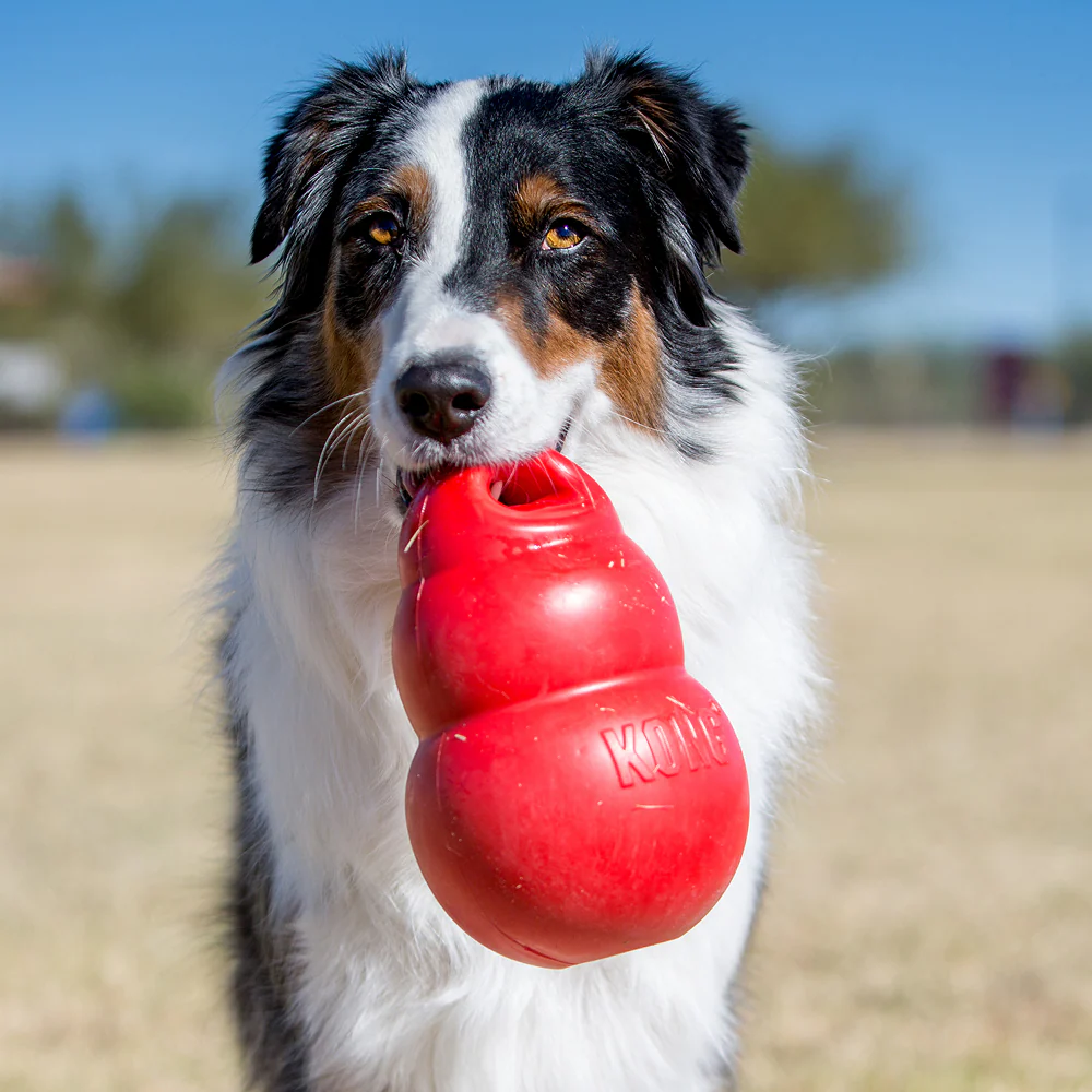 Kong Bounzer Toy for Dogs (Red) - Image 4
