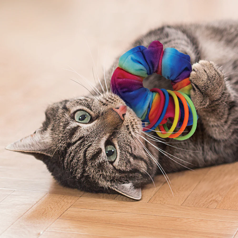 Kong Cat Active Scrunchie Toy for Cats (Multicolour) - Image 3