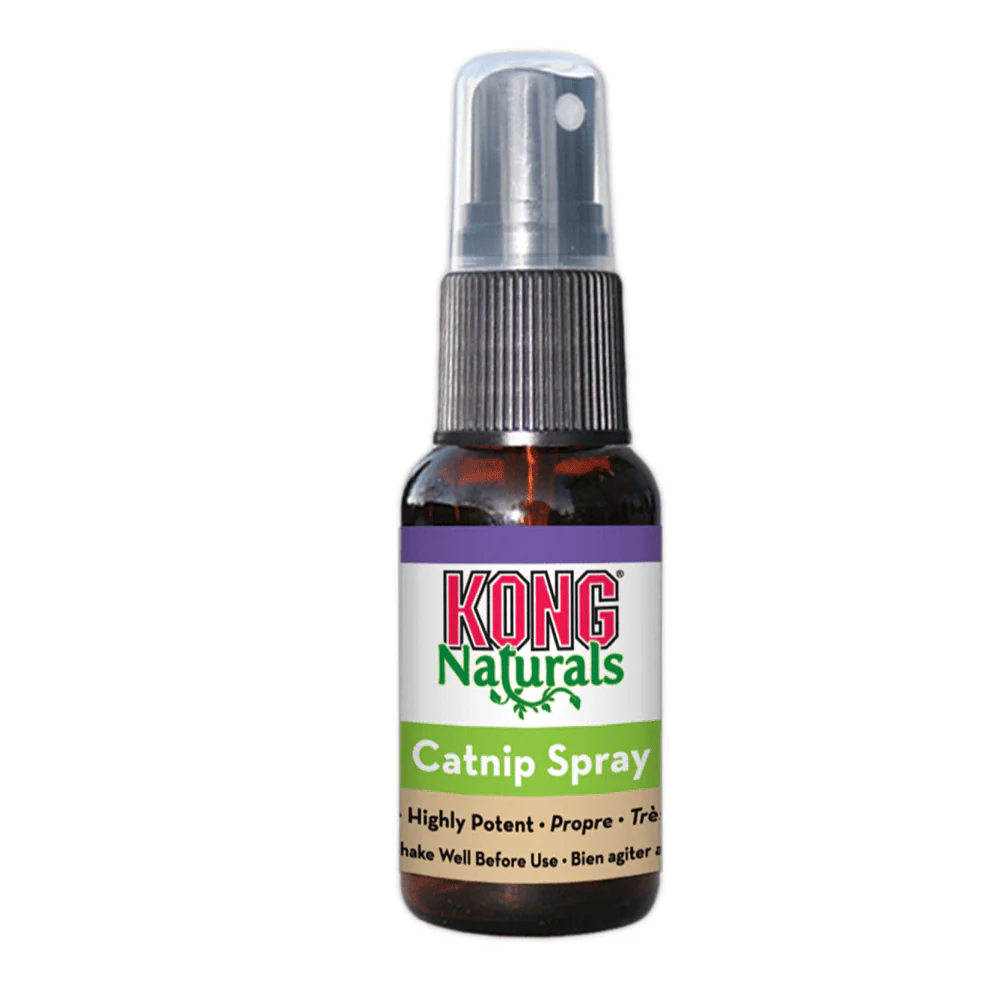 Kong Catnip Spray for Cats - Image 4
