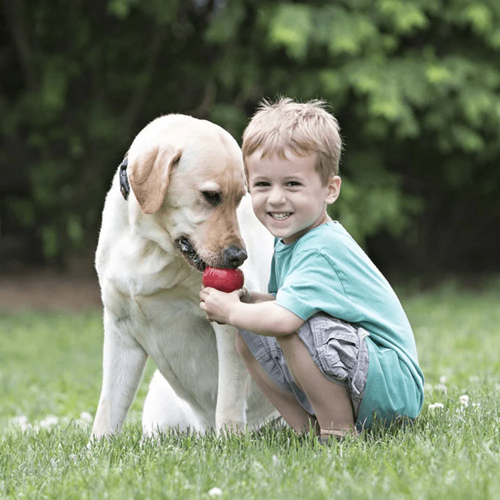 Kong Classic Toy for Dogs (Red) | For Average Chewers - Image 8