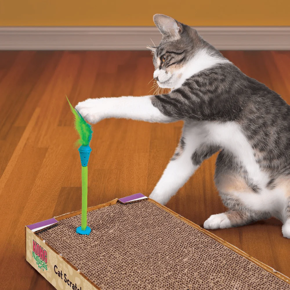 Kong Connects Scratch Toy With Catnip Inside for Cats (Sky Blue) - Image 3