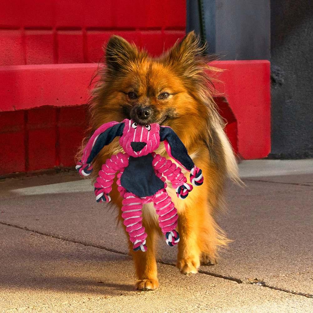 Kong Cozie Floppy Rabbit Toy for Dogs (Pink) - Image 3