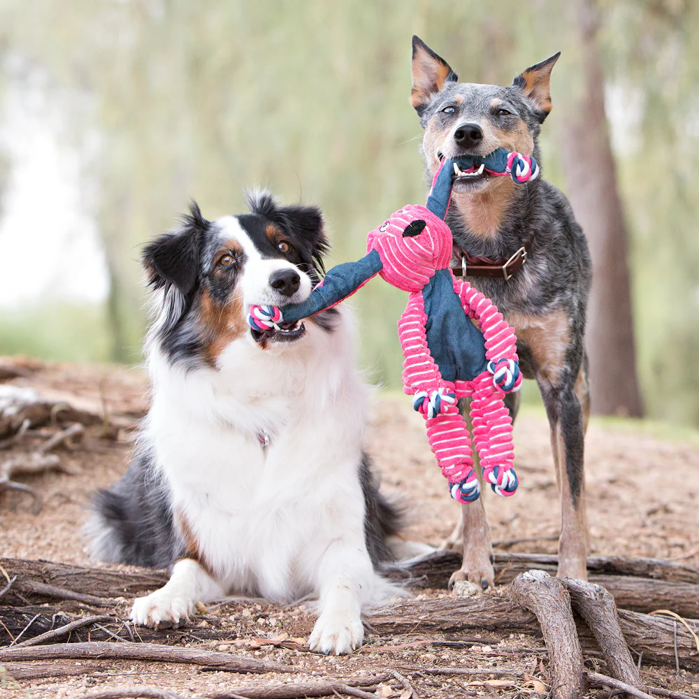 Kong Cozie Floppy Rabbit Toy for Dogs (Pink) - Image 4