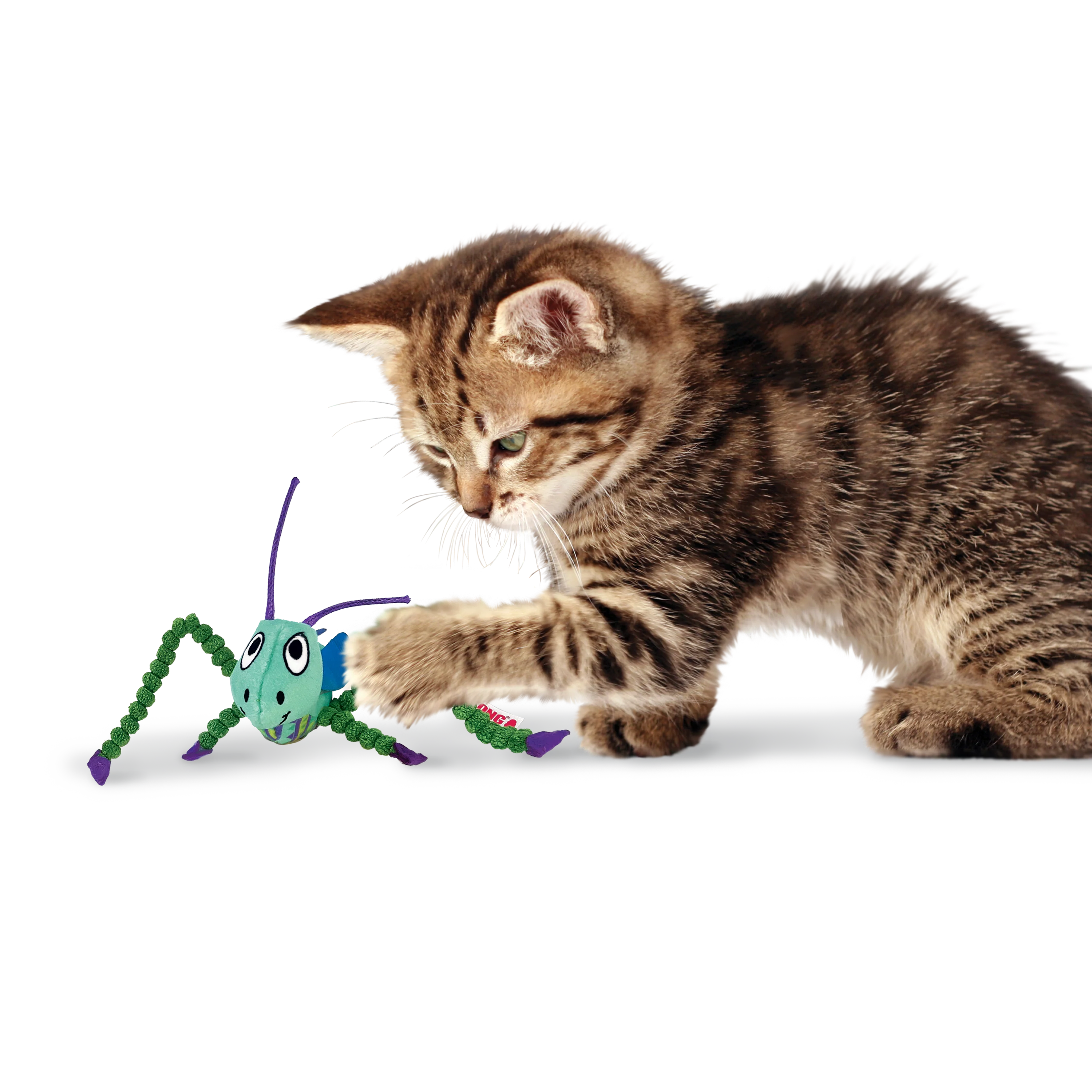 Kong Crackles Grasshopper Toy for Cats (Green) - Image 3