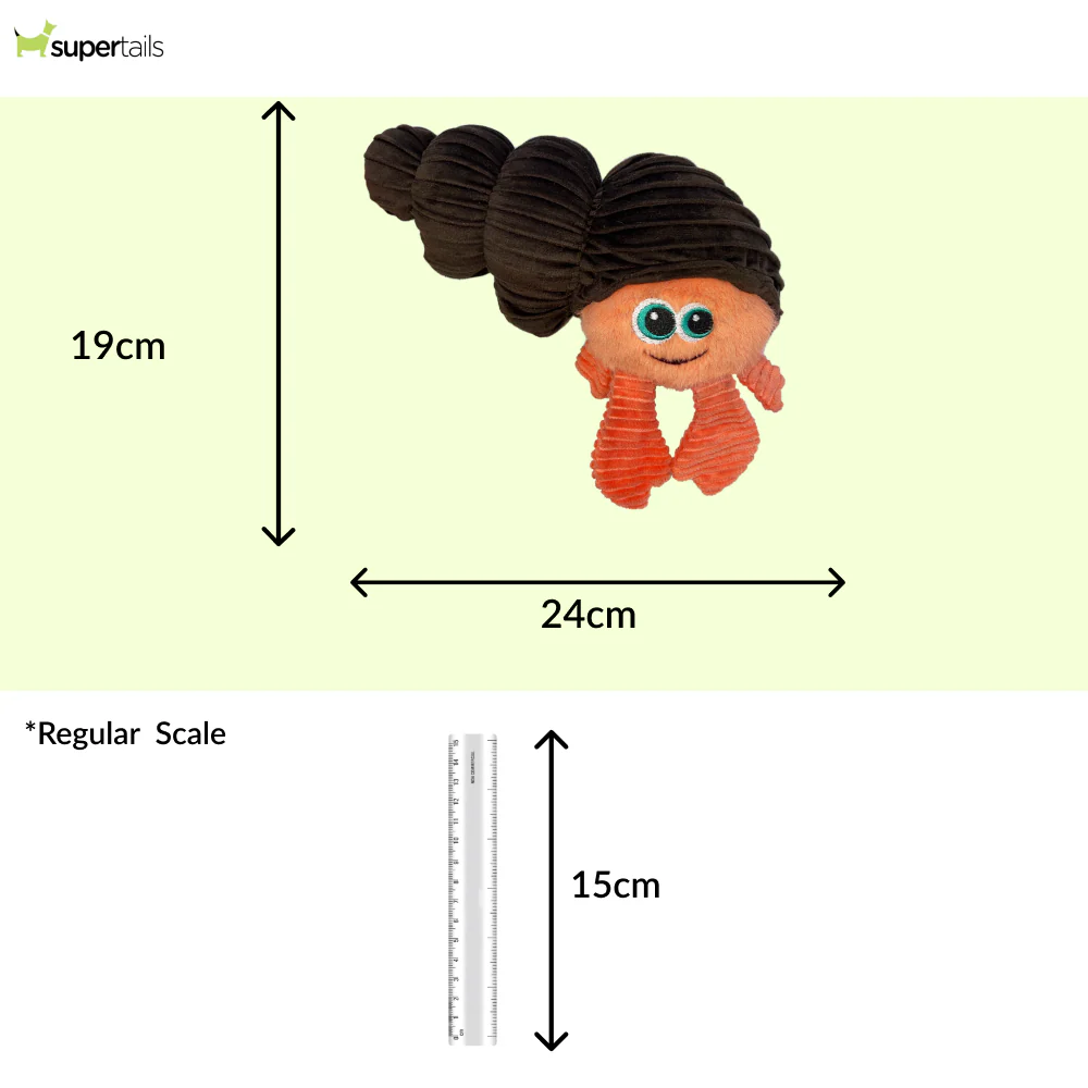 Kong Cuteseas Rufflez Hermit Crab Toy for Dogs (Brown) - Image 2