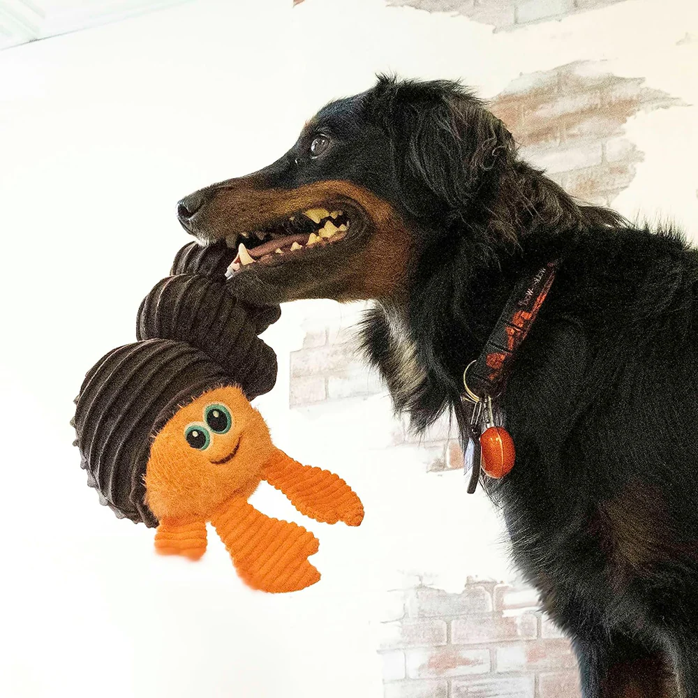 Kong Cuteseas Rufflez Hermit Crab Toy for Dogs (Brown) - Image 3