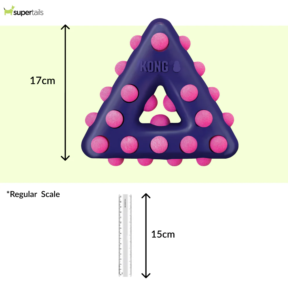 Kong Dotz Triangle Toy for Dogs (Purple & Pink) - Image 2