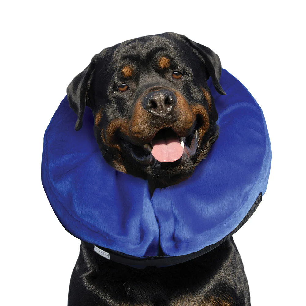 Kong E Collar Cloud Collar for Dogs (Blue) - Image 4
