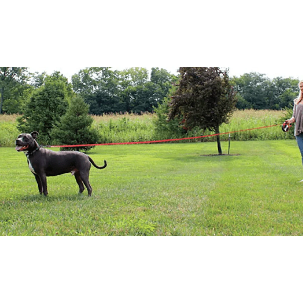 Kong Explore Retractable Leash for Dogs and Cats (Red) - Image 7
